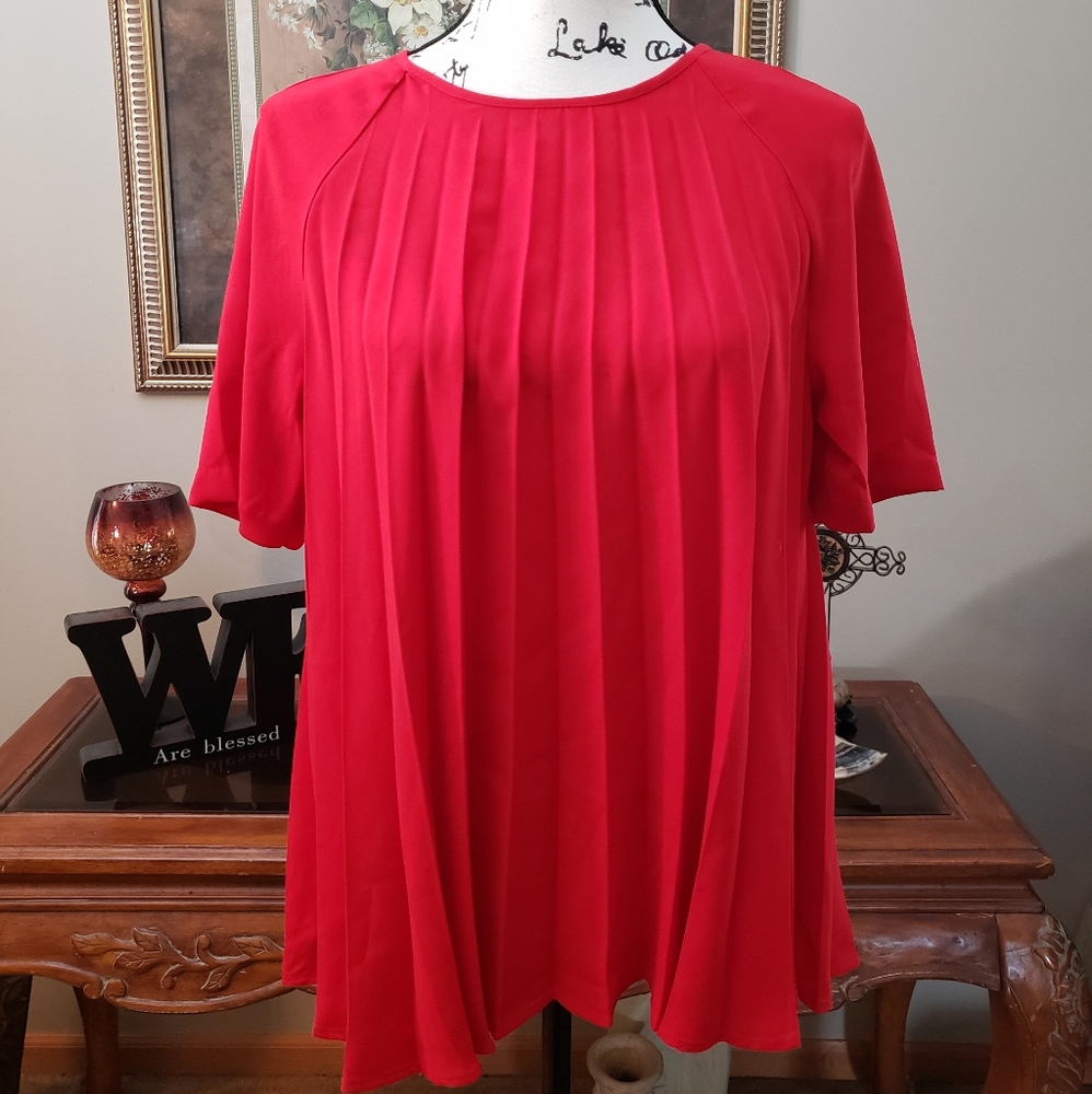 *NEW* THE LIMITED pleated blouse